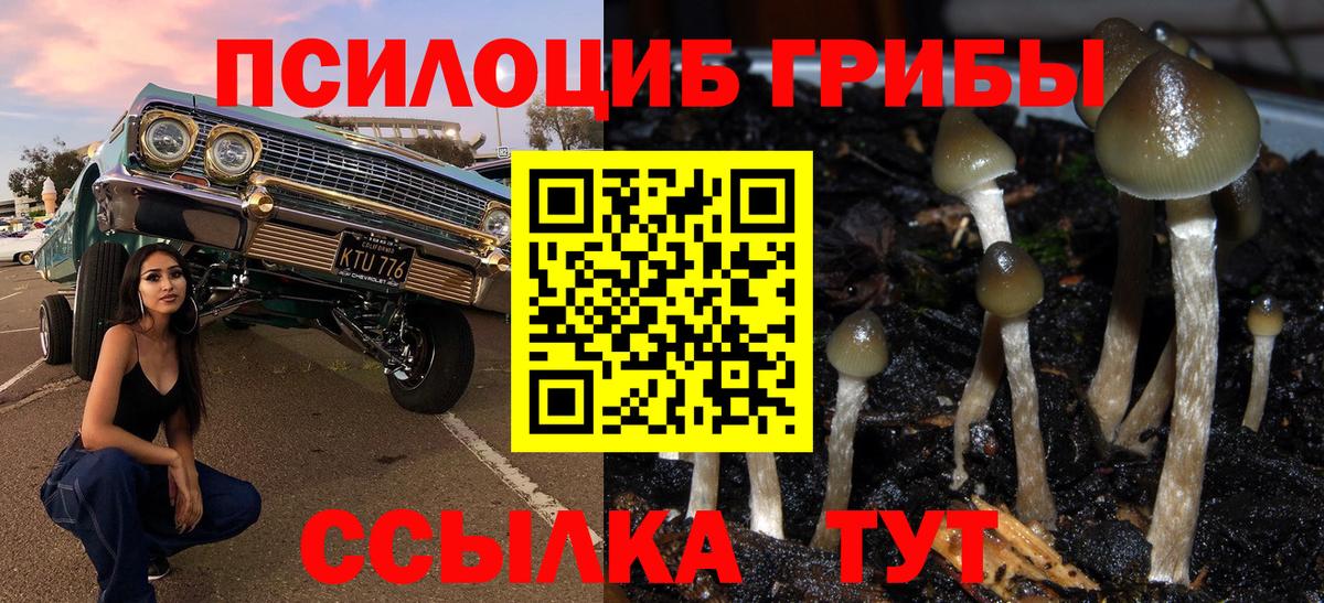 Галлюциногенные грибы Psilocybe  наркотики  Вход с VPN  Сосновый Бор  Галлюциногенные грибы GOLDEN TEACHER 