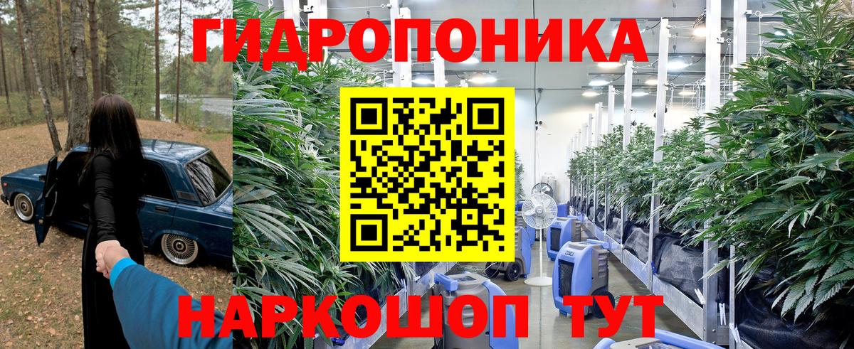 Канабис SATIVA & INDICA Сосновый Бор